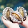 Korean Abalone